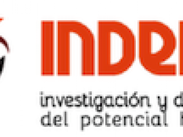 Programa Internacional LiderAR (Individualizado)